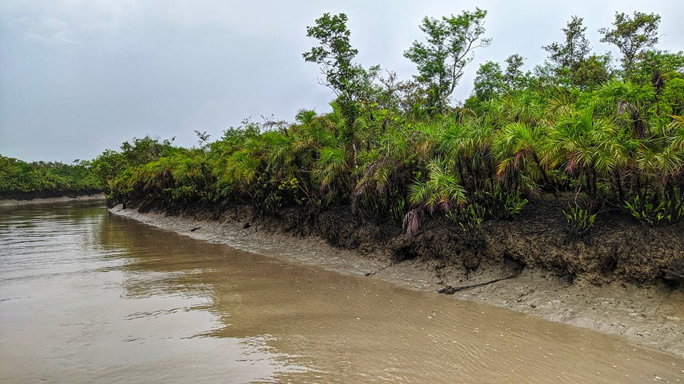 রূপান্তরের গল্প ৫৩ | Rupantorer Golpo 53