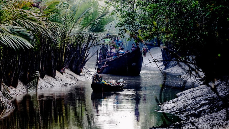 রূপান্তরের গল্প ৭৪ | Rupantorer Golpo 74