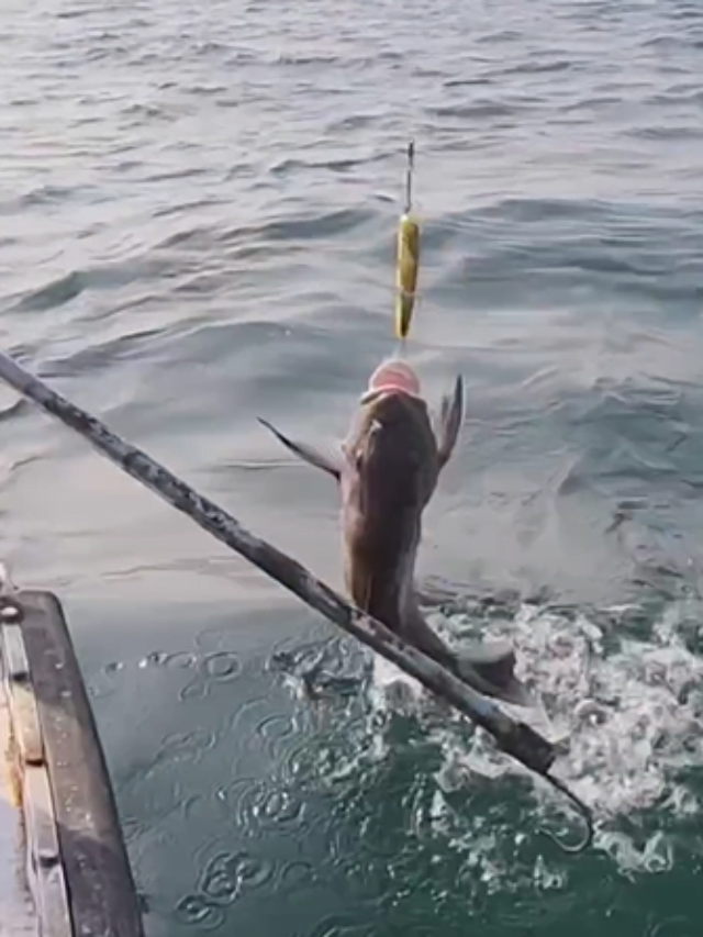 Angling at St. Martin’s | Mohsin ul Hakim