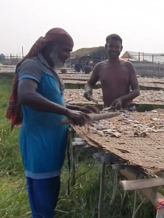 দুবলার চরে সকাল সকাল | Sundarbans Memories